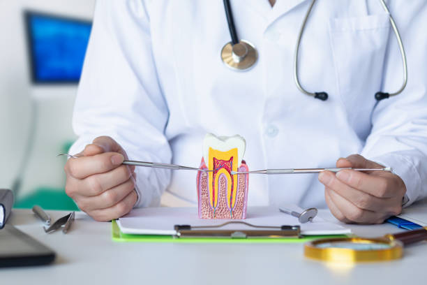 Best Same-Day Emergency Dental Services in Dexter, MI